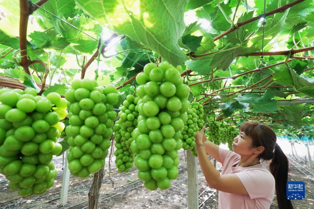 捕鱼手游推荐
